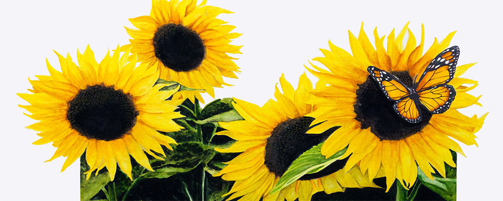 
        <div class='title'>
          Sunflowers&ButterflyBanner
        </div>
       