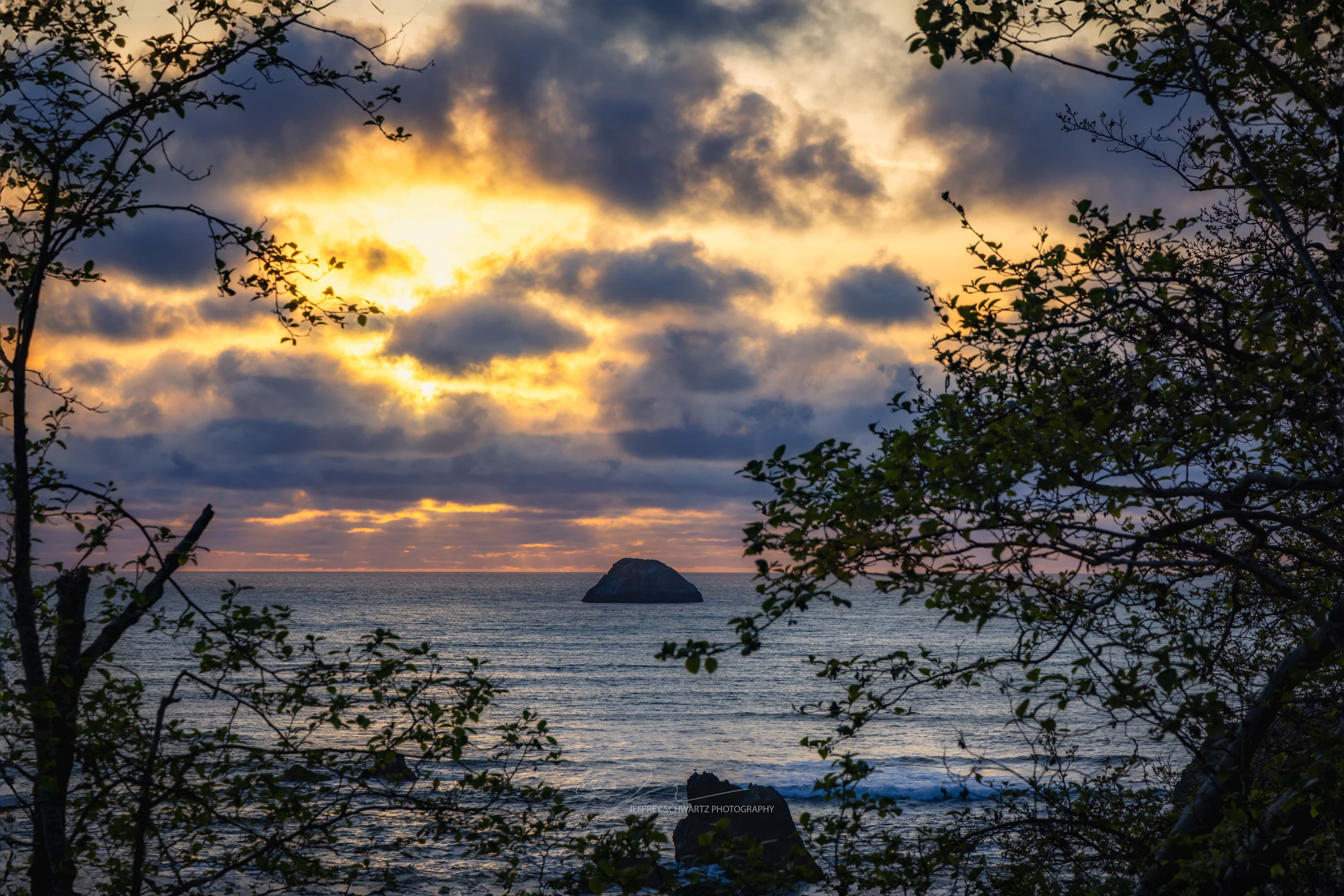 
        <div class='title'>
          Trinidad Sunset Through the Trees 04072024 SMALL
        </div>
       