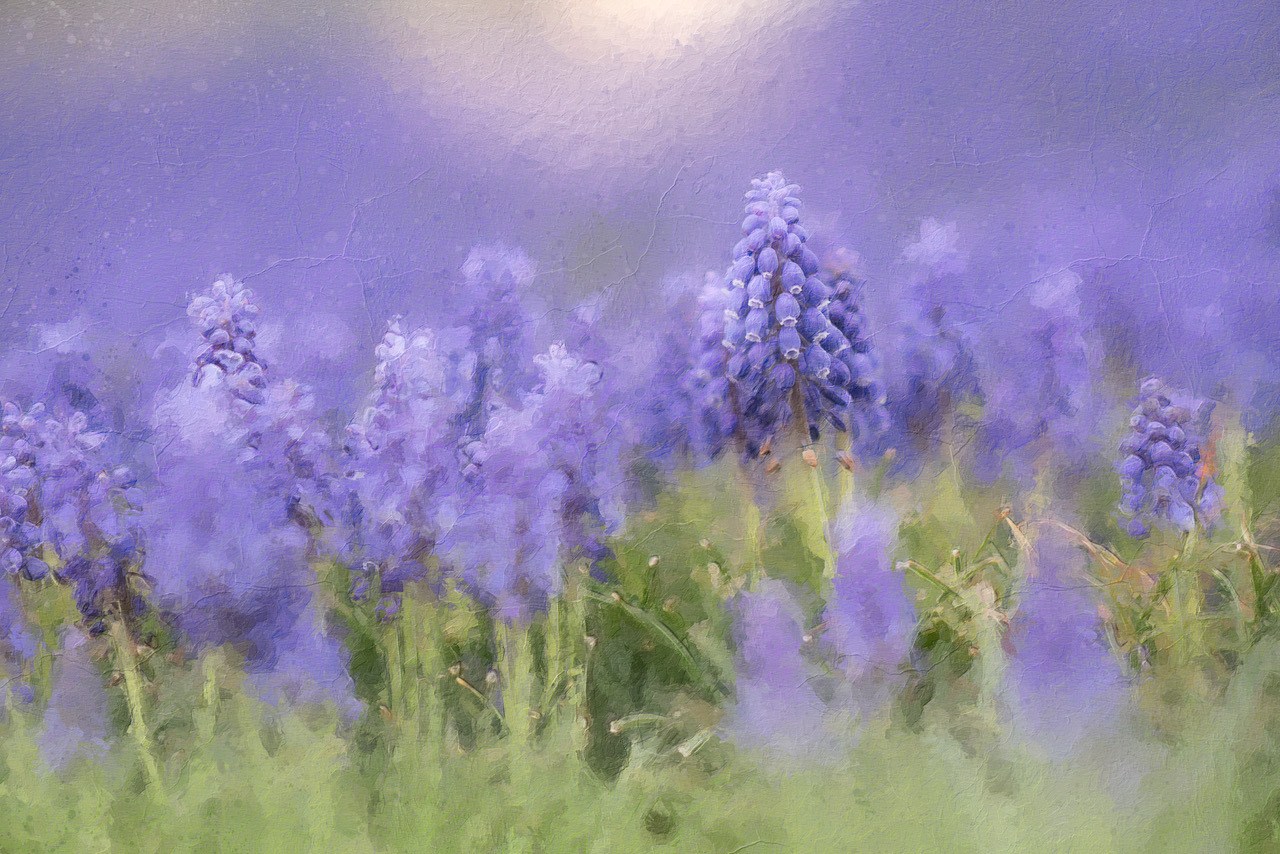 
        <div class='title'>
          Lovely Lupine Web
        </div>
       