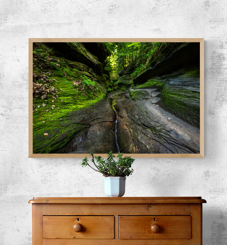 plant on wooden drawers