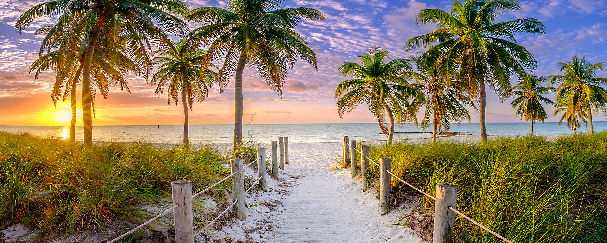 
        <div class='title'>
          small2 keywest DSF3547 HDR Pano tropicalPalmParadise
        </div>
       