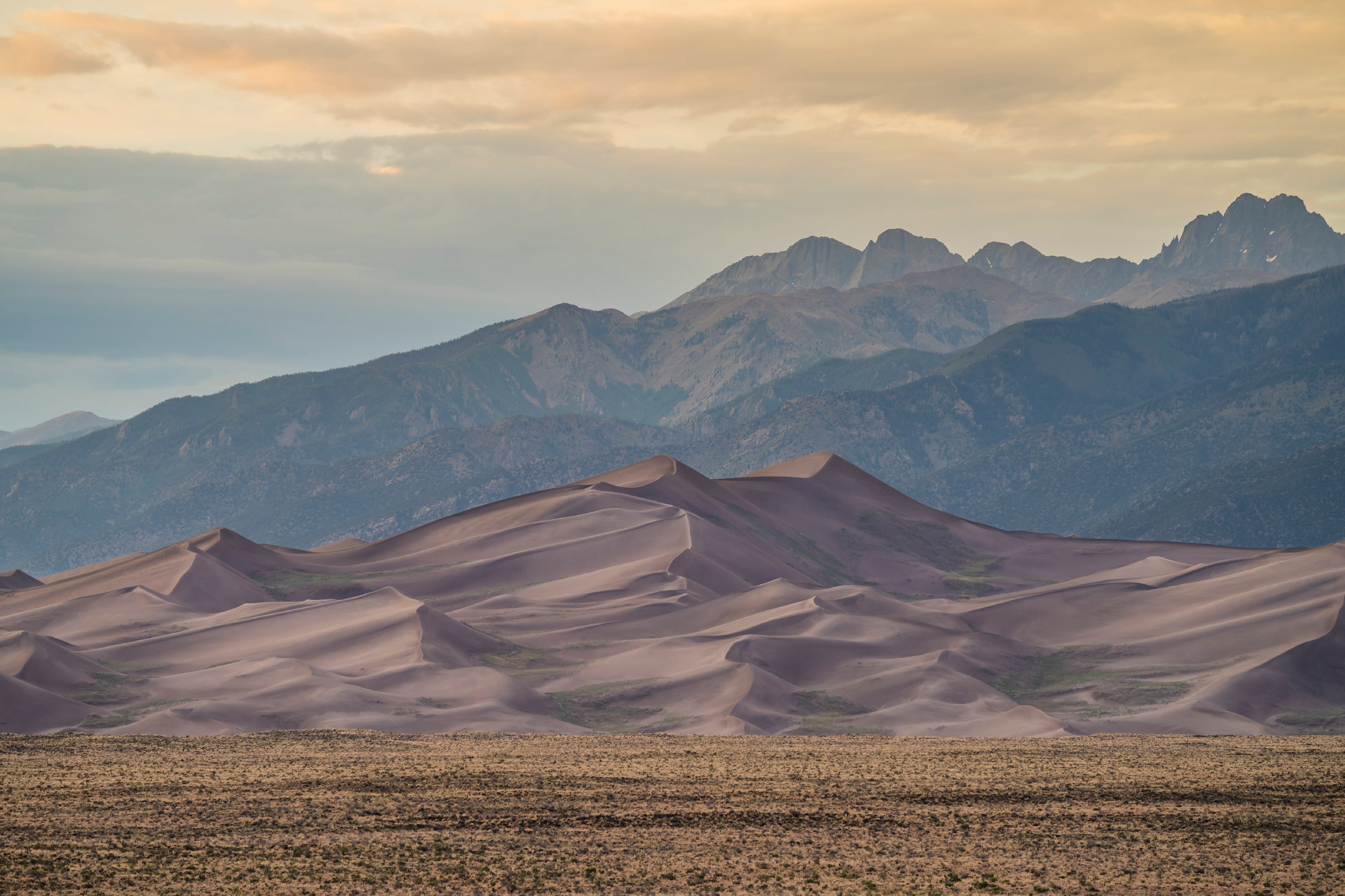 
        <div class='title'>
          dunes banner
        </div>
       