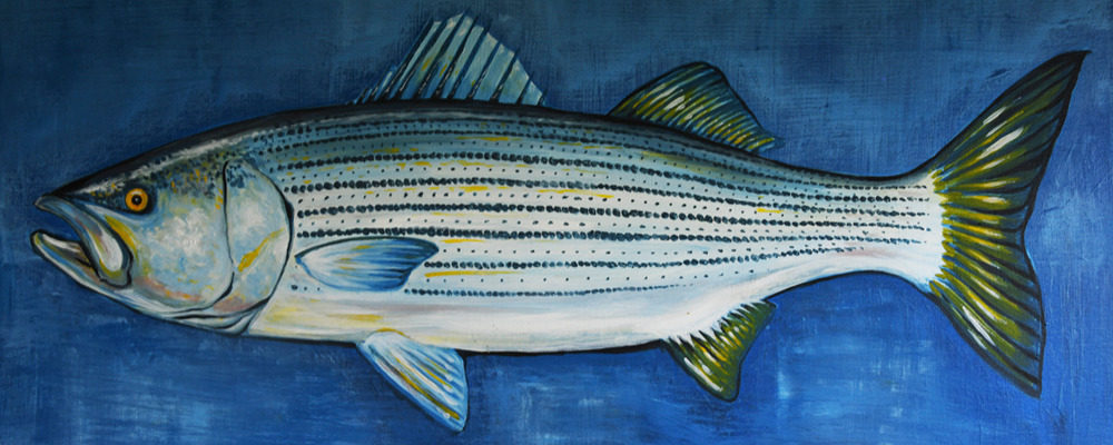 
        <div class='title'>
          Banner Fish
        </div>
       