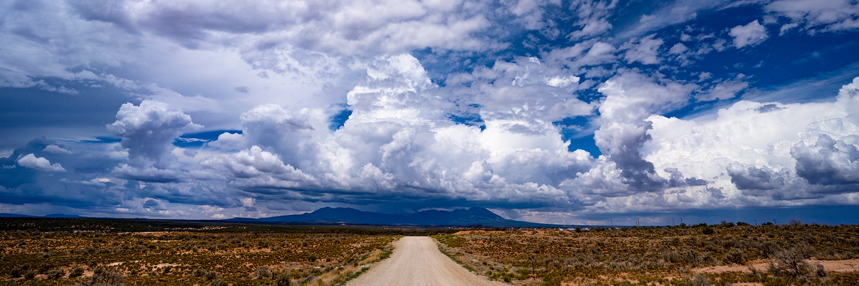 
        <div class='title'>
          3 Distant Rain
        </div>
       