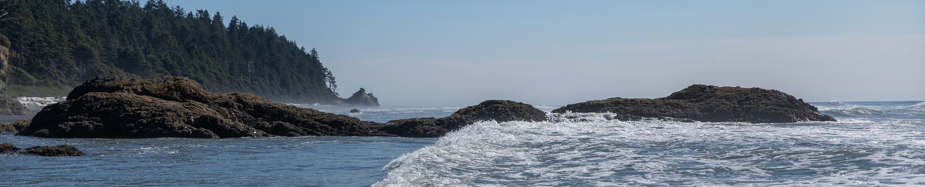 
        <div class='title'>
          Pacific Shore   banner
        </div>
       