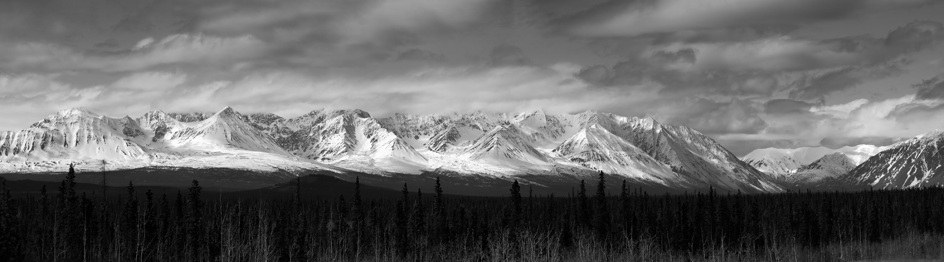 
        <div class='title'>
          Richard King Kluane Range Haines Highway Yt copy
        </div>
       