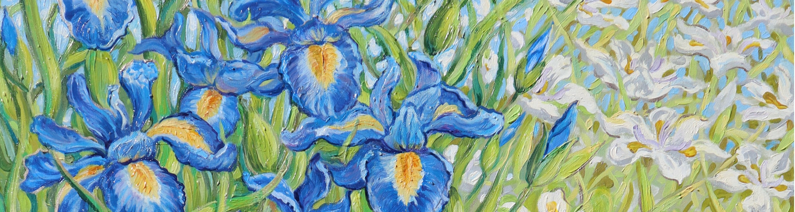 
        <div class='title'>
          neal parrow Irises Banner
        </div>
       