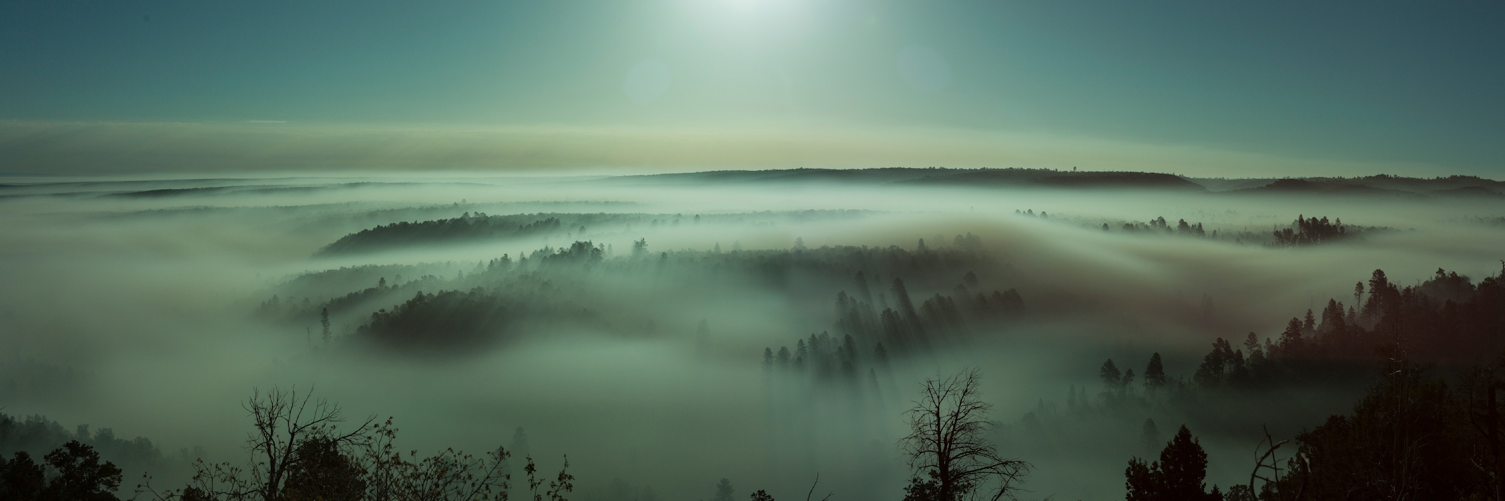 
        <div class='title'>
          Above the Fog
        </div>
       