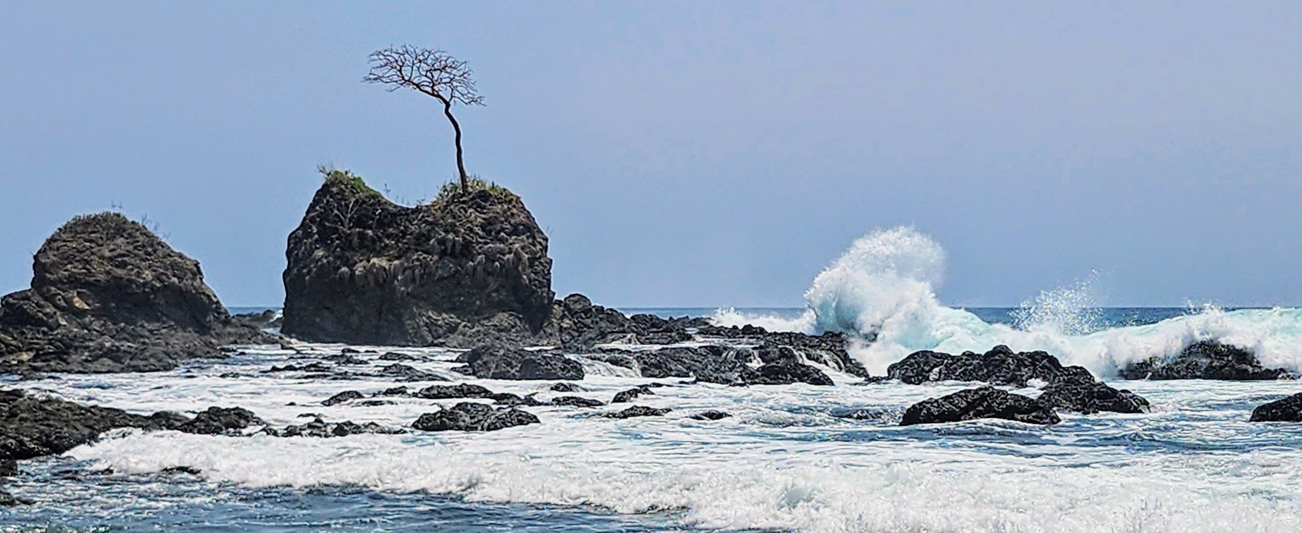 
        <div class='title'>
          Isla Cébaco Panama ngzdlc
        </div>
       