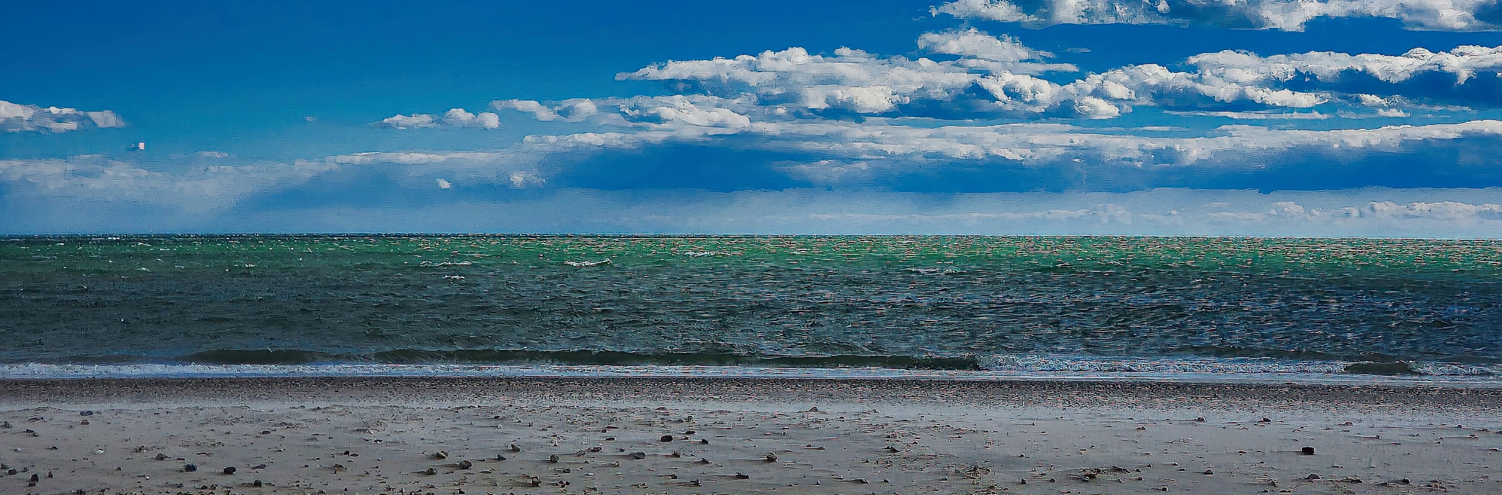 
        <div class='title'>
          William Debs Sea Gull Beach Wya
        </div>
       