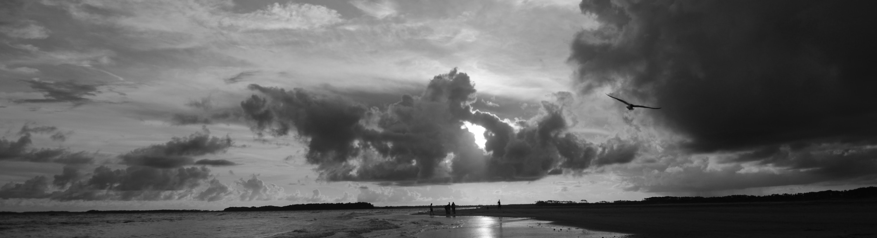 
        <div class='title'>
          Beach Bw Sara Clark jswrbu
        </div>
       