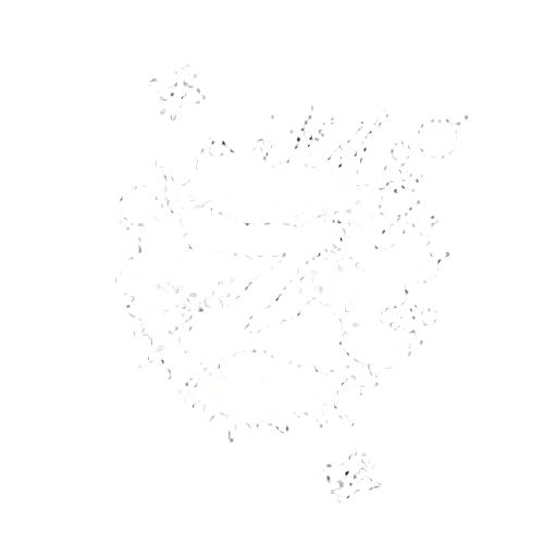 Ziolkowski Originalz