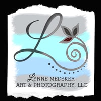 lynne medsker art & photography, LLC
