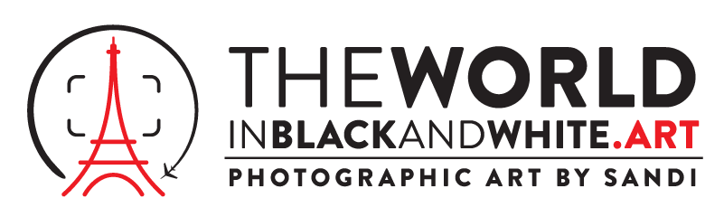 The World in Black and White .art