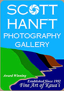 scotthanftphotography
