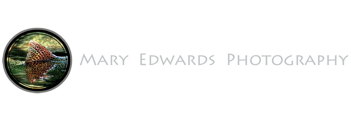 Mary Edwards Photography