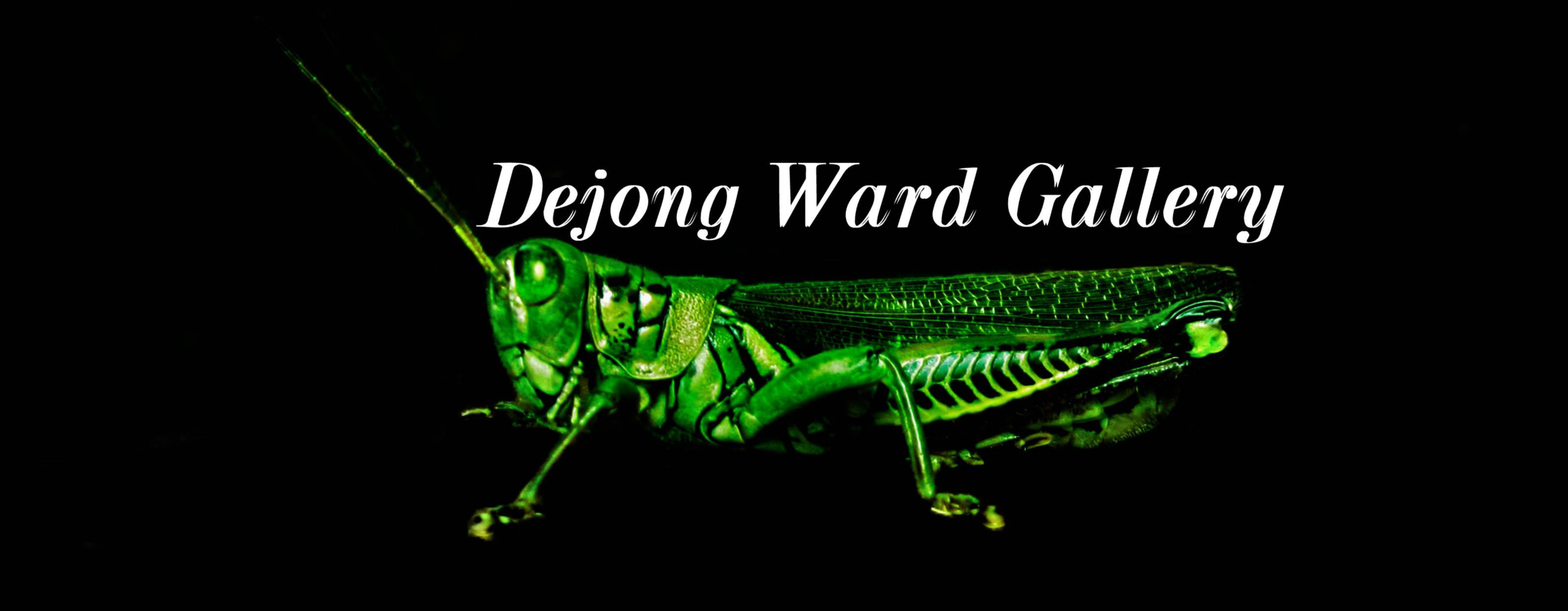 DeJong Ward Gallery