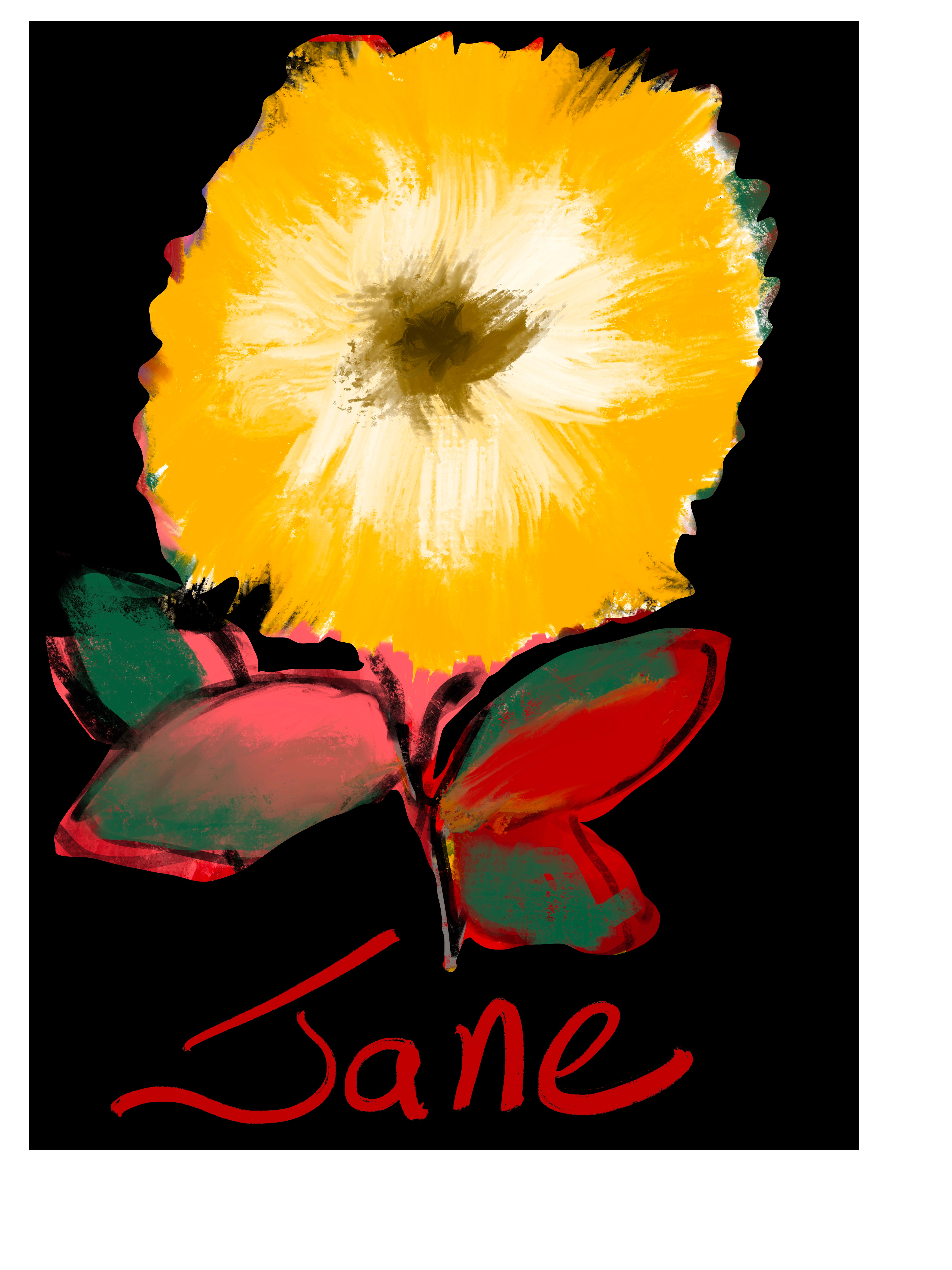 janecraker