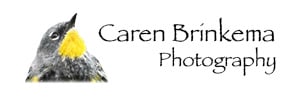 Caren Brinkema Photography