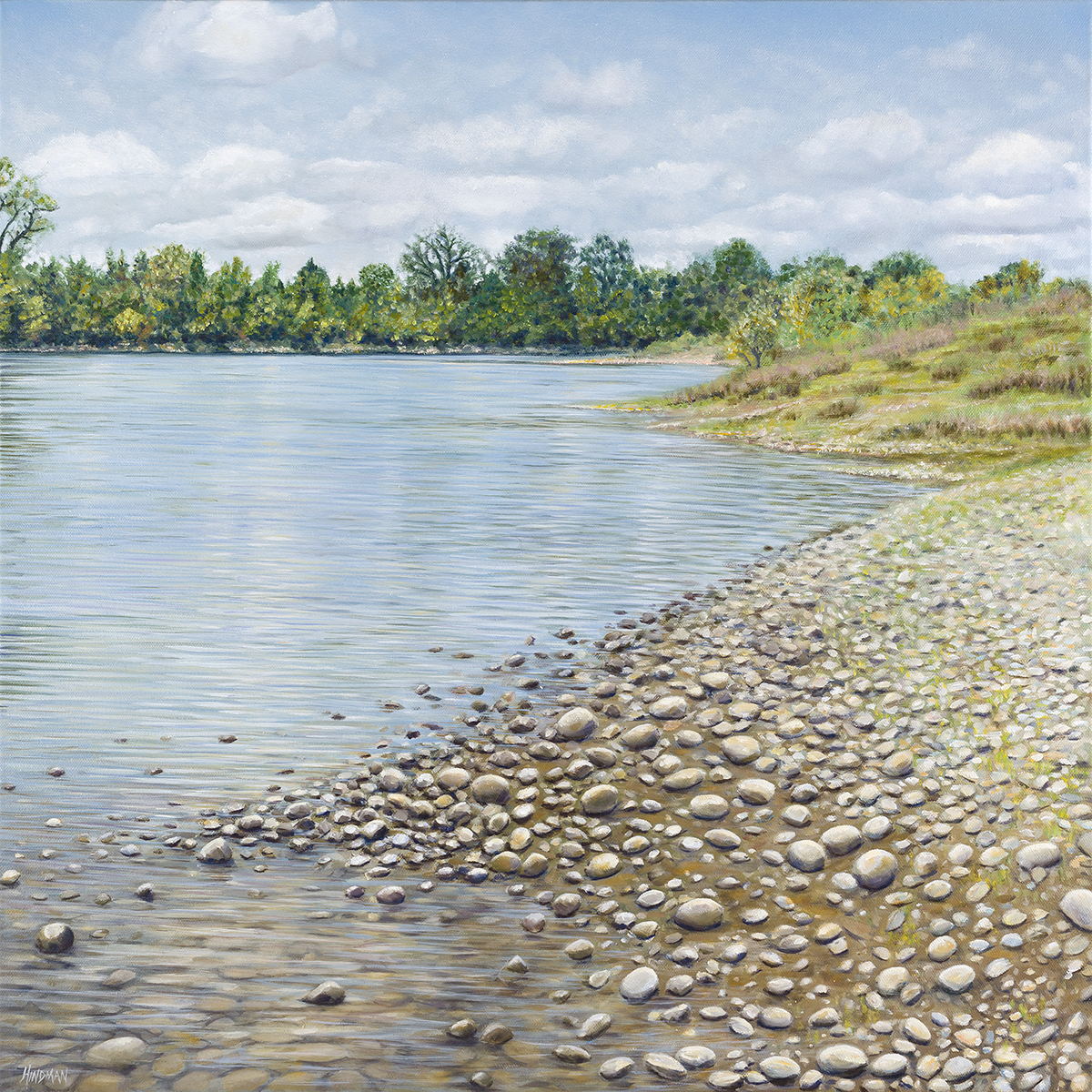 American river 4 zedlhe