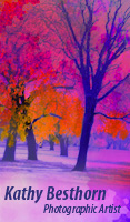 Kathy Besthorn Artist
