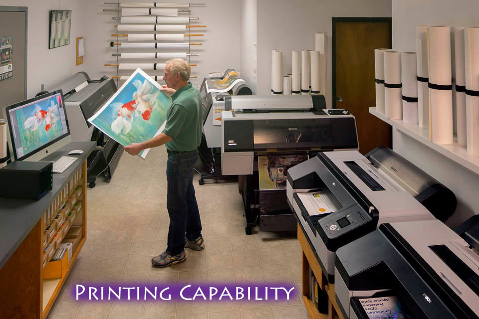Printers 2 c3v6bs