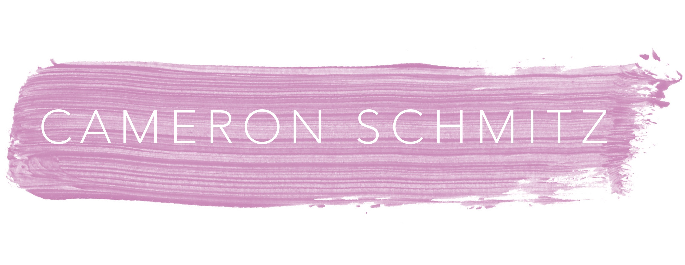 cameron schmitz fine art