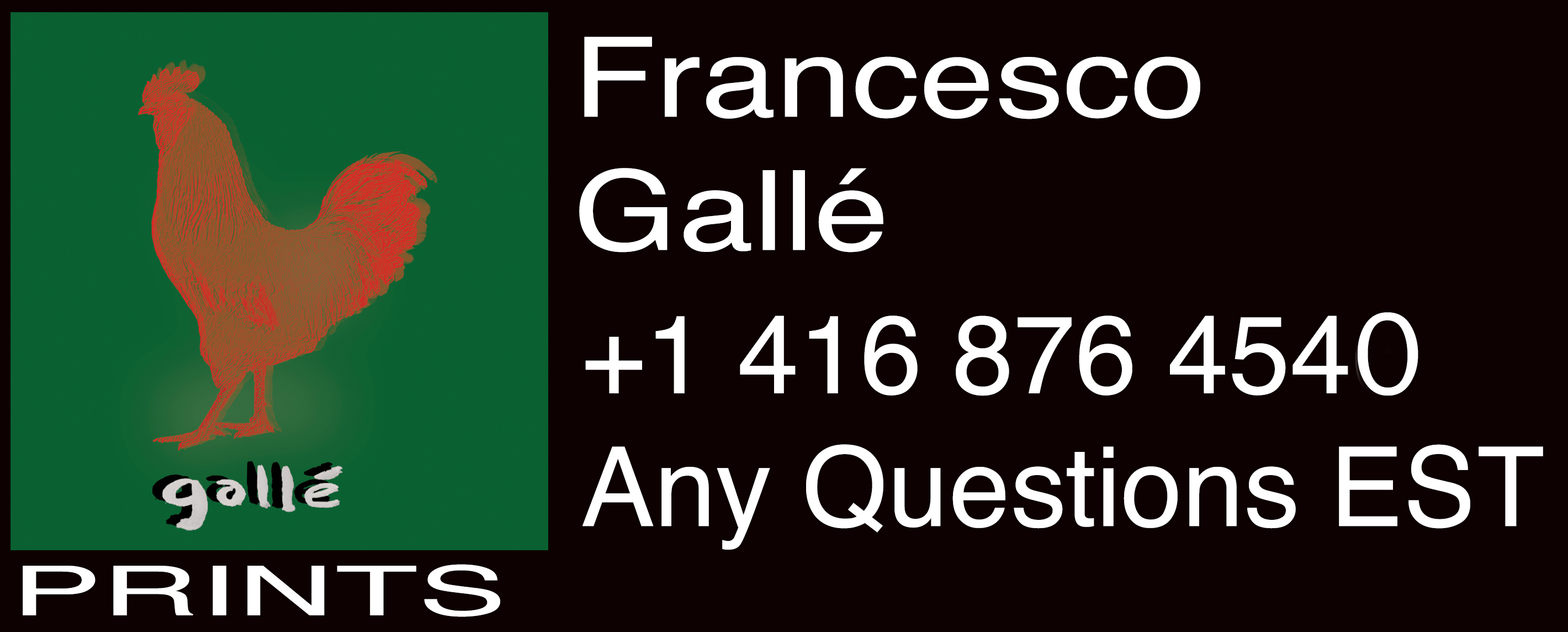 francesco gallé