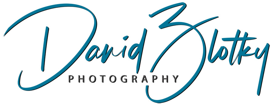 davidzlotky