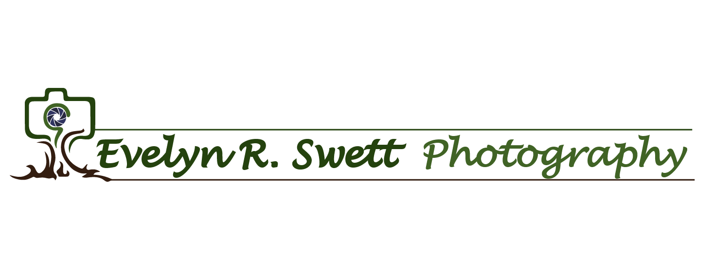 evelynrswett