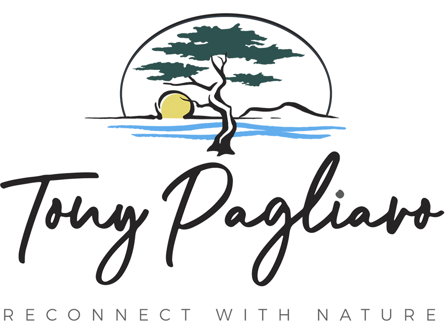 tonypagliaro