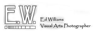 ed williams visual arts photography