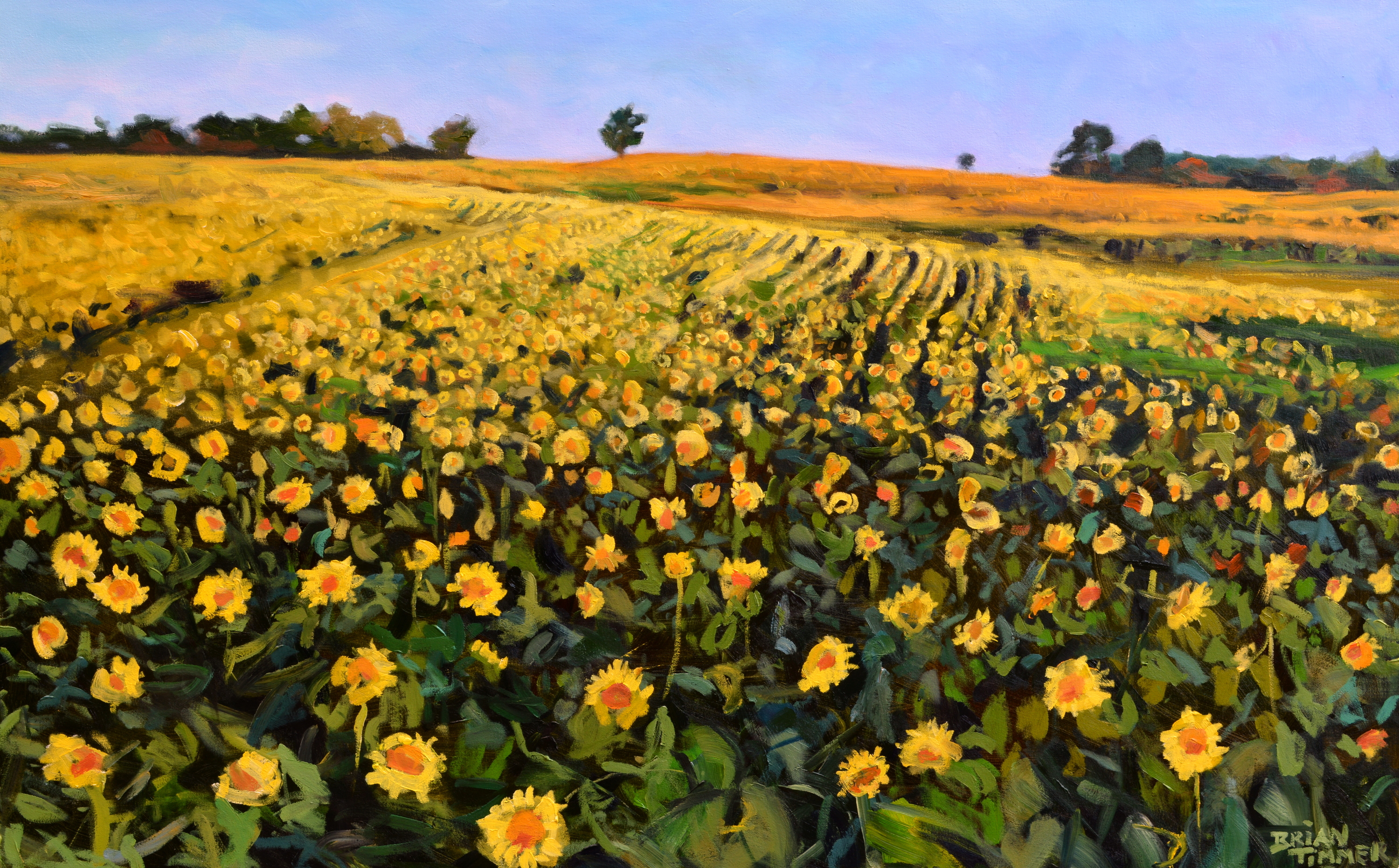 Sunflower painting vdsx7e