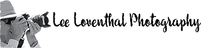 lee loventhal