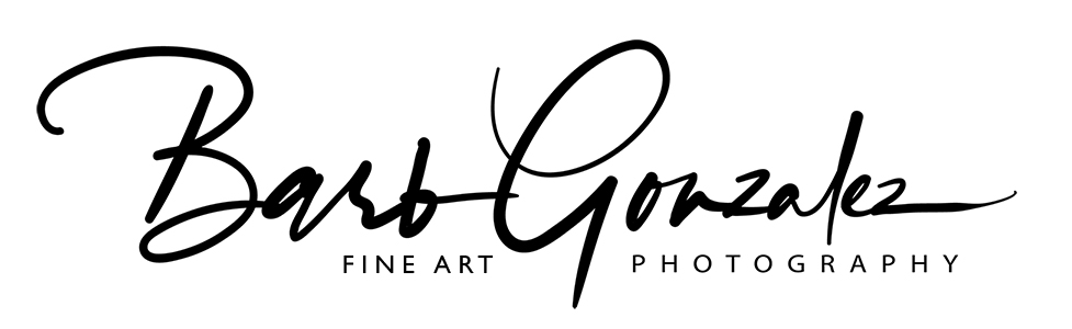 barbgonzalezphotography
