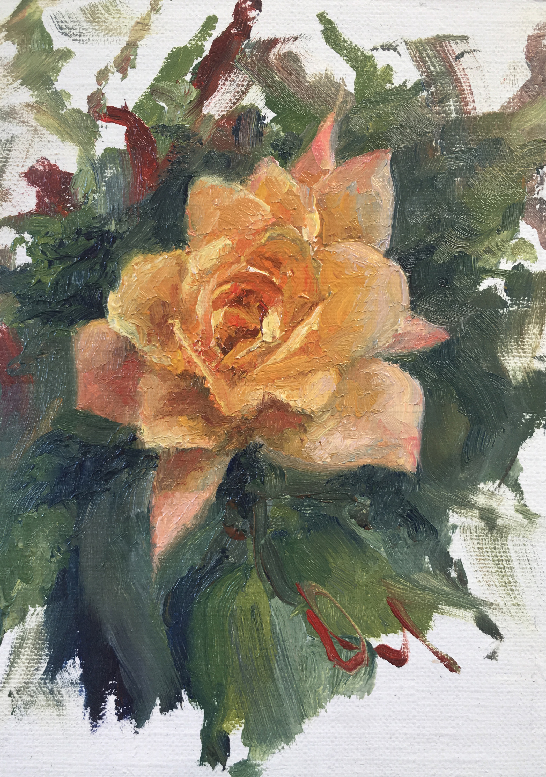 Patio Rose Original Art David William Terry Fine Art