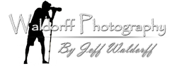 Waldorff Photography