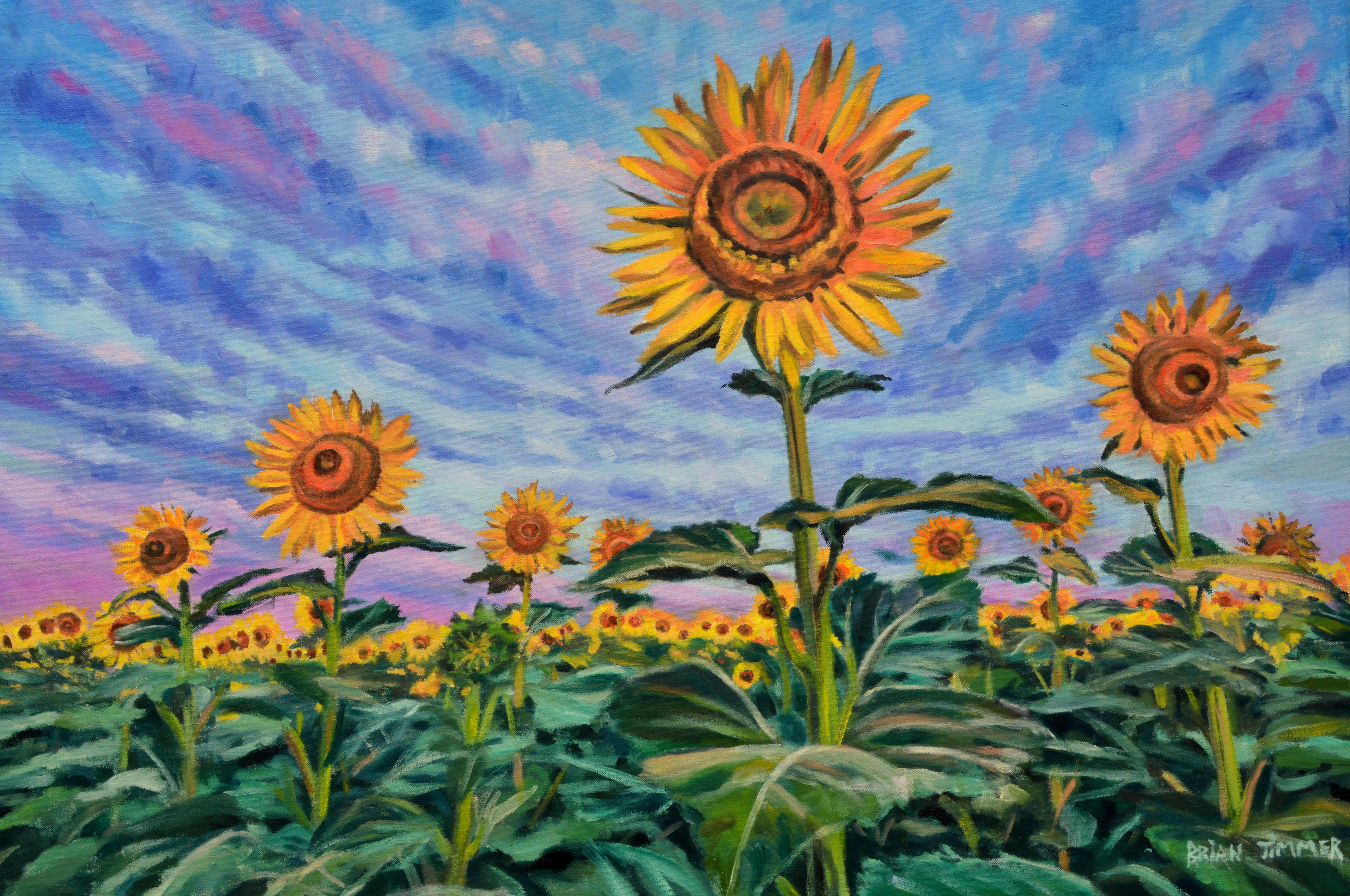 Yoko Hirai (平井 洋子) | sunflower (2025) | Available for