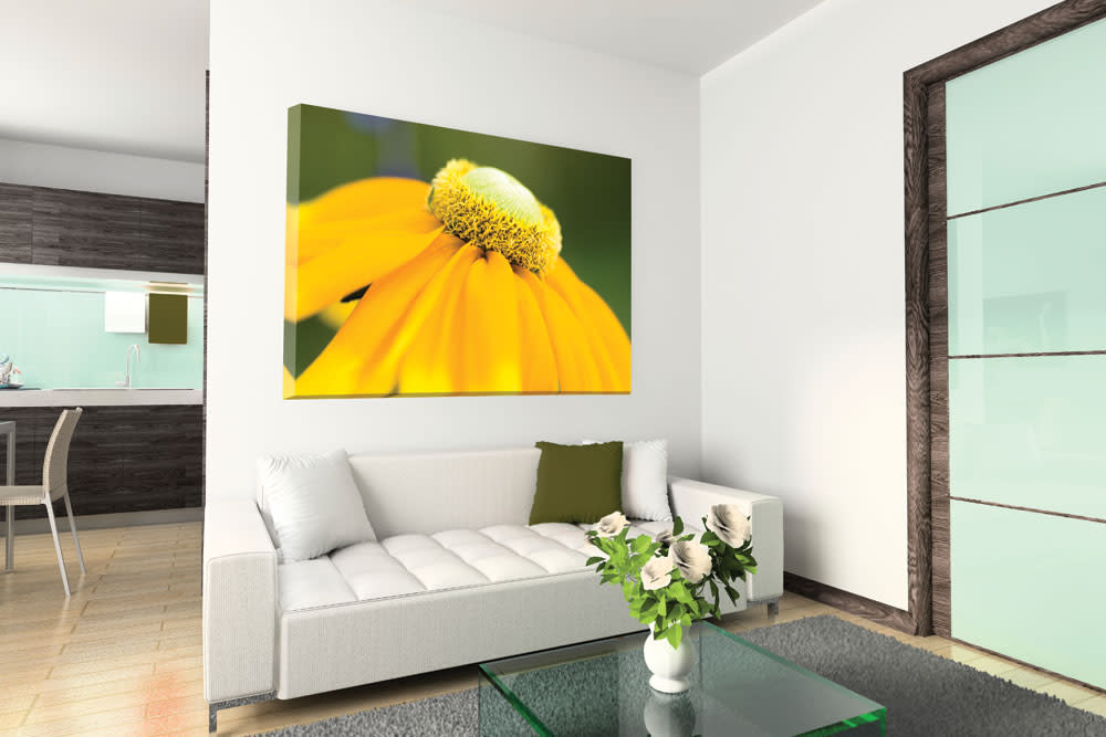 
        <div class='title'>
          Whiteroom-PSWLD-220-FLT-uktwzy
        </div>
       