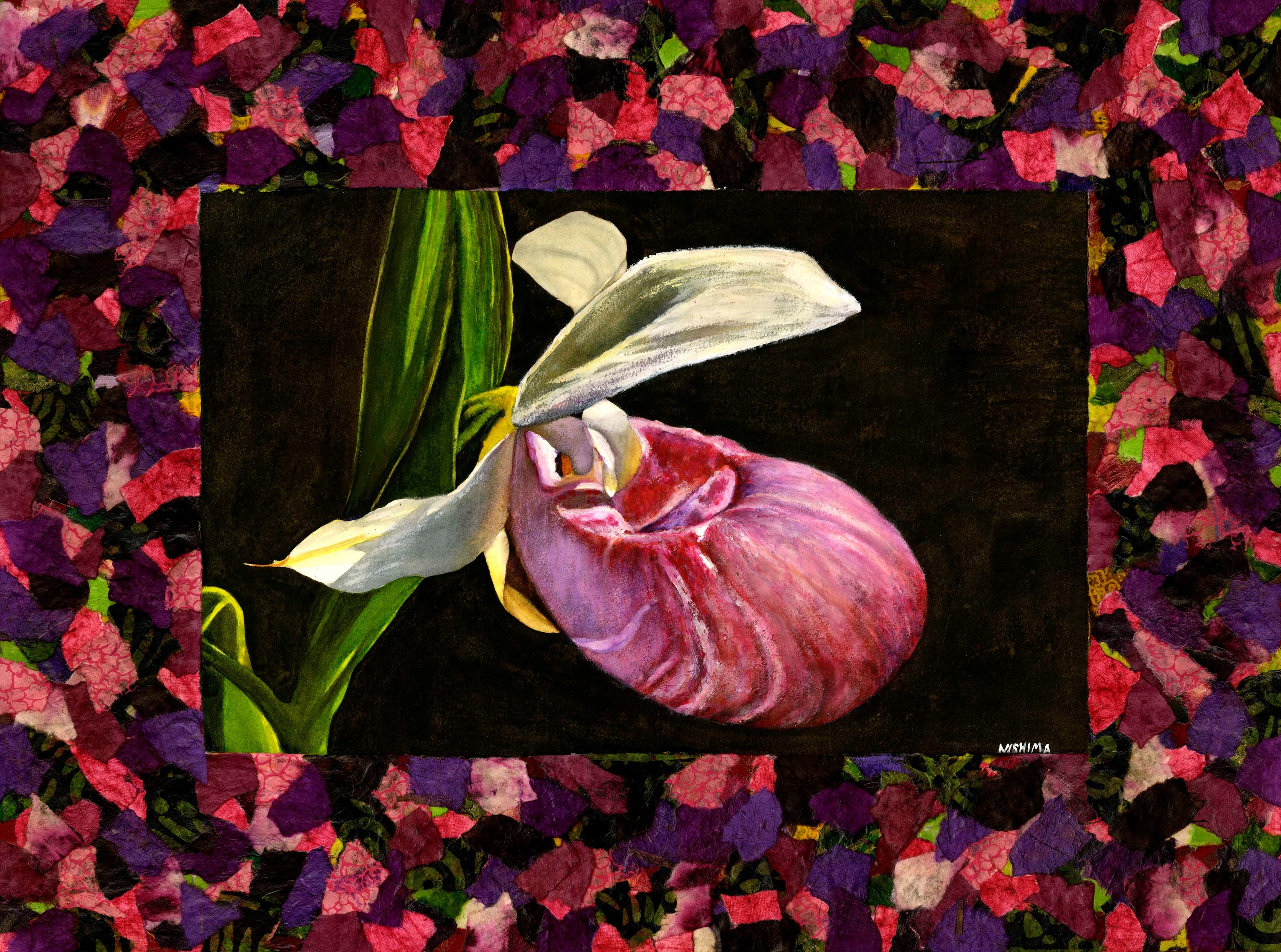 Pink lady s slipper orchid small wqyrtk