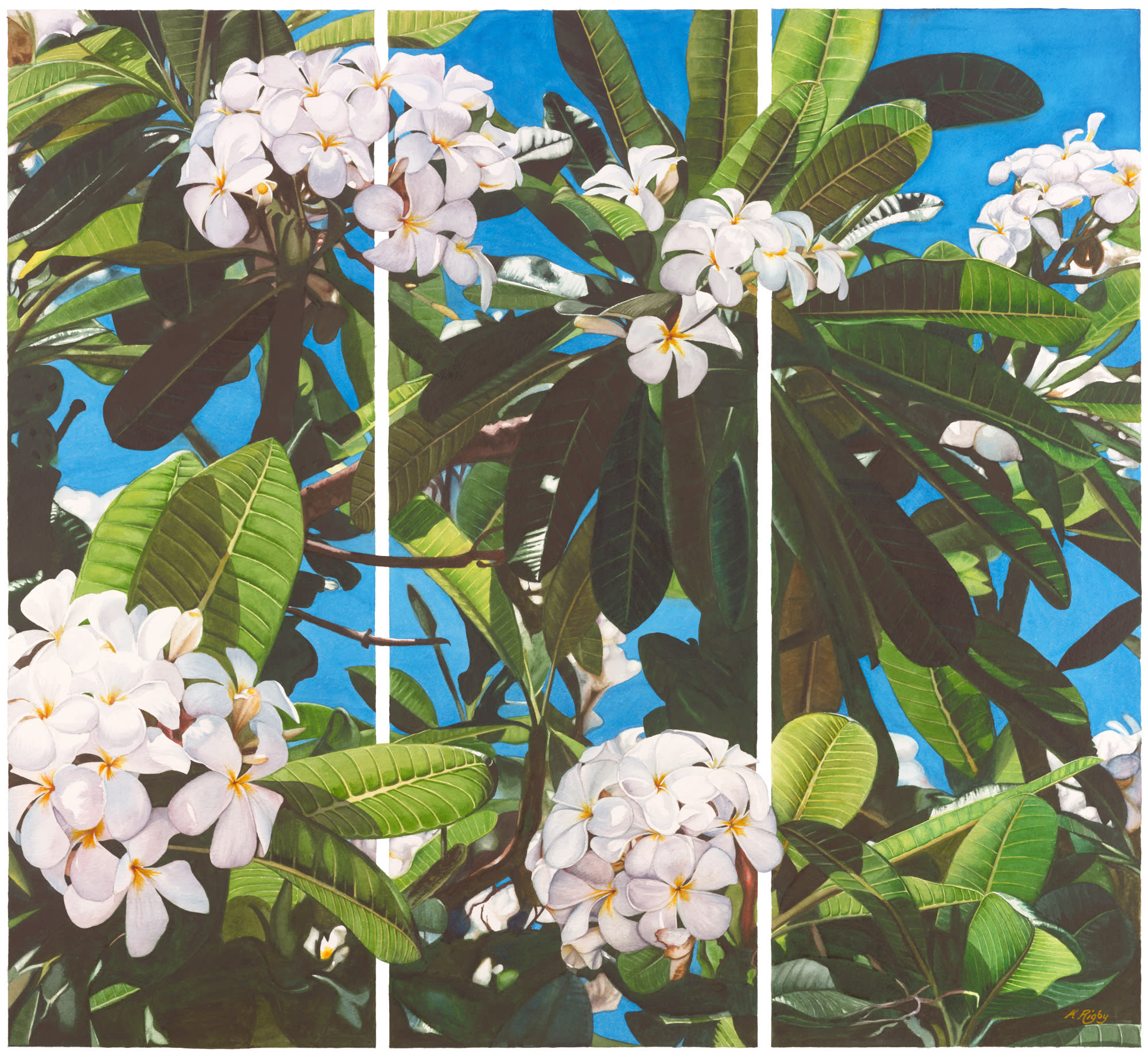 Krig 030 frangipani tryptich hgoz3u