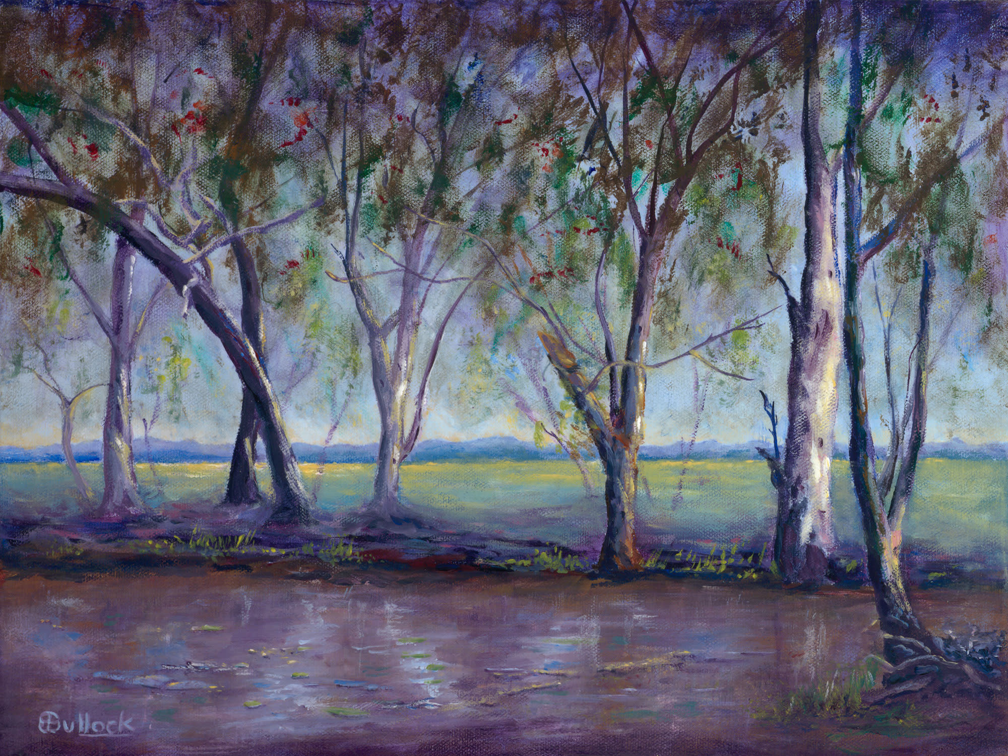 E bullock 003 abiding strength middle creek yzfavr
