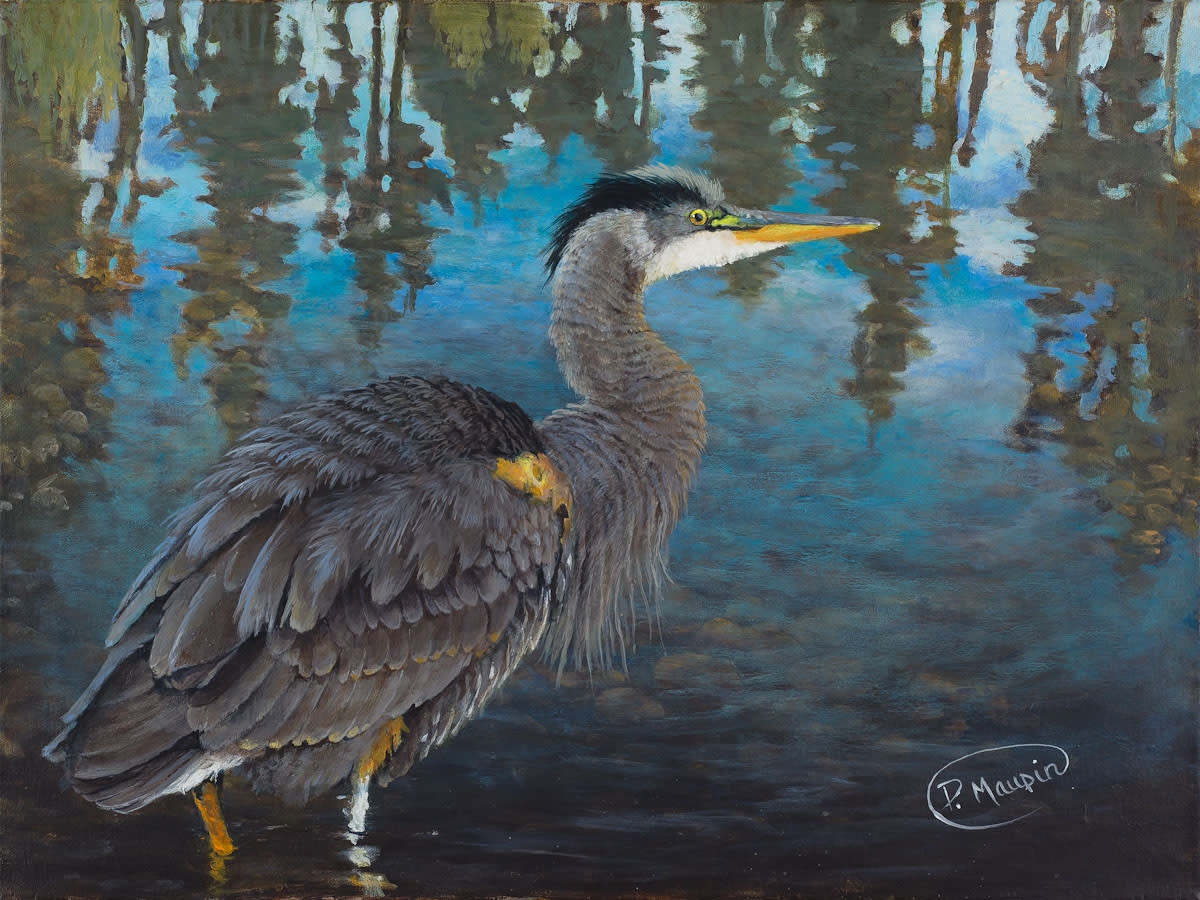 Blue heron lores yz3enh
