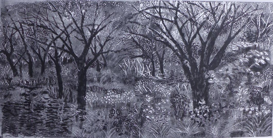 My backyard at night skibell art ny6agt