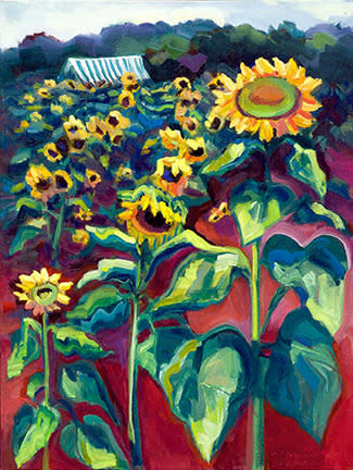 Sunflower farm 3 sunny fields web fo3kx8