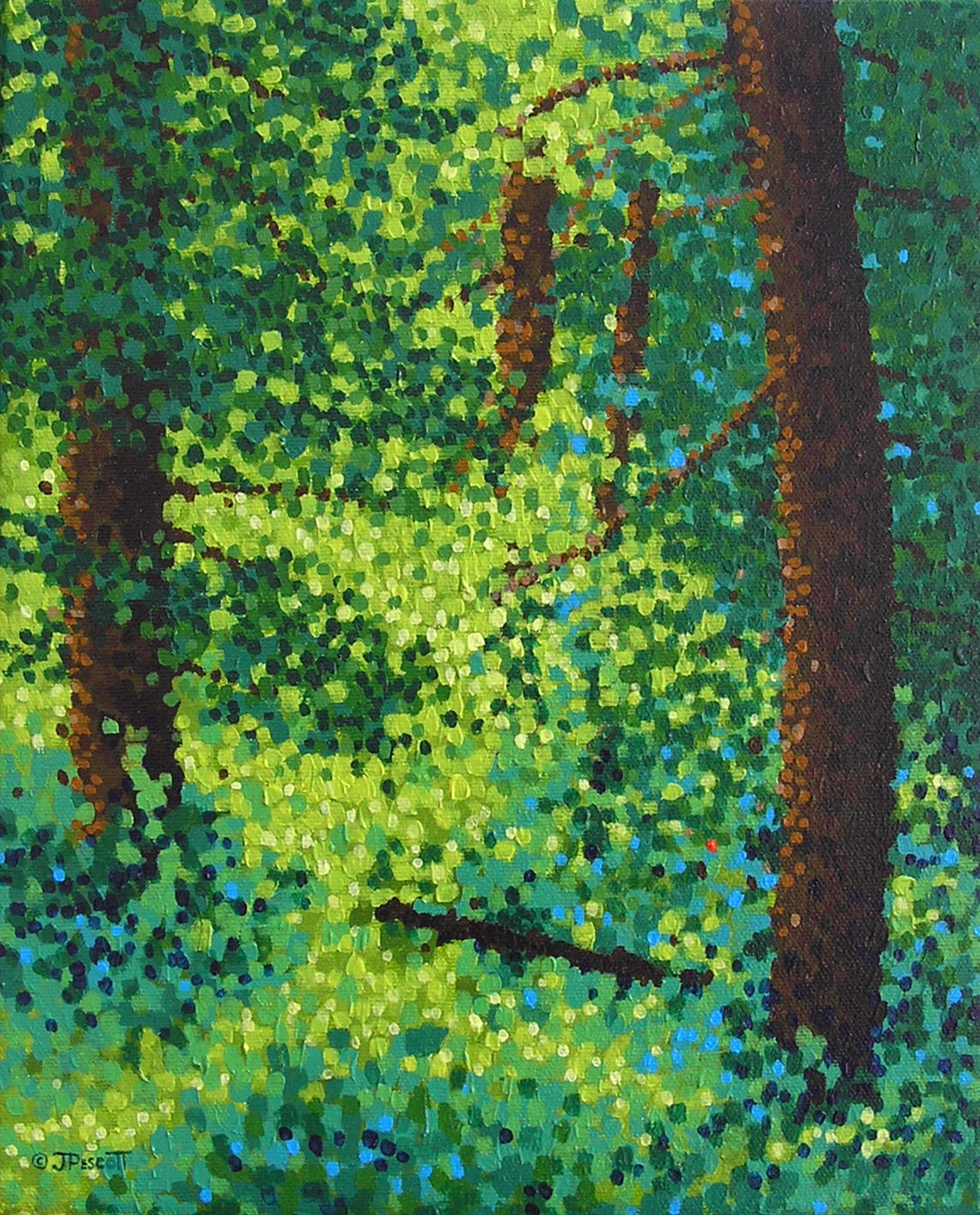 Woodland sunlight original vm5h9s