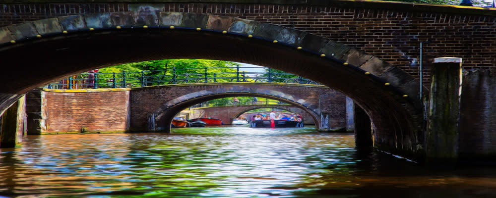 
        <div class='title'>
          Amsterdamn 147361 16sm
        </div>
       