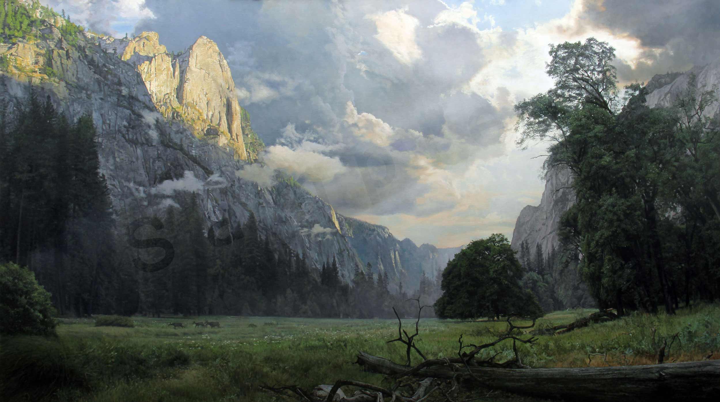 Passing storm in yosemite valley tkifre