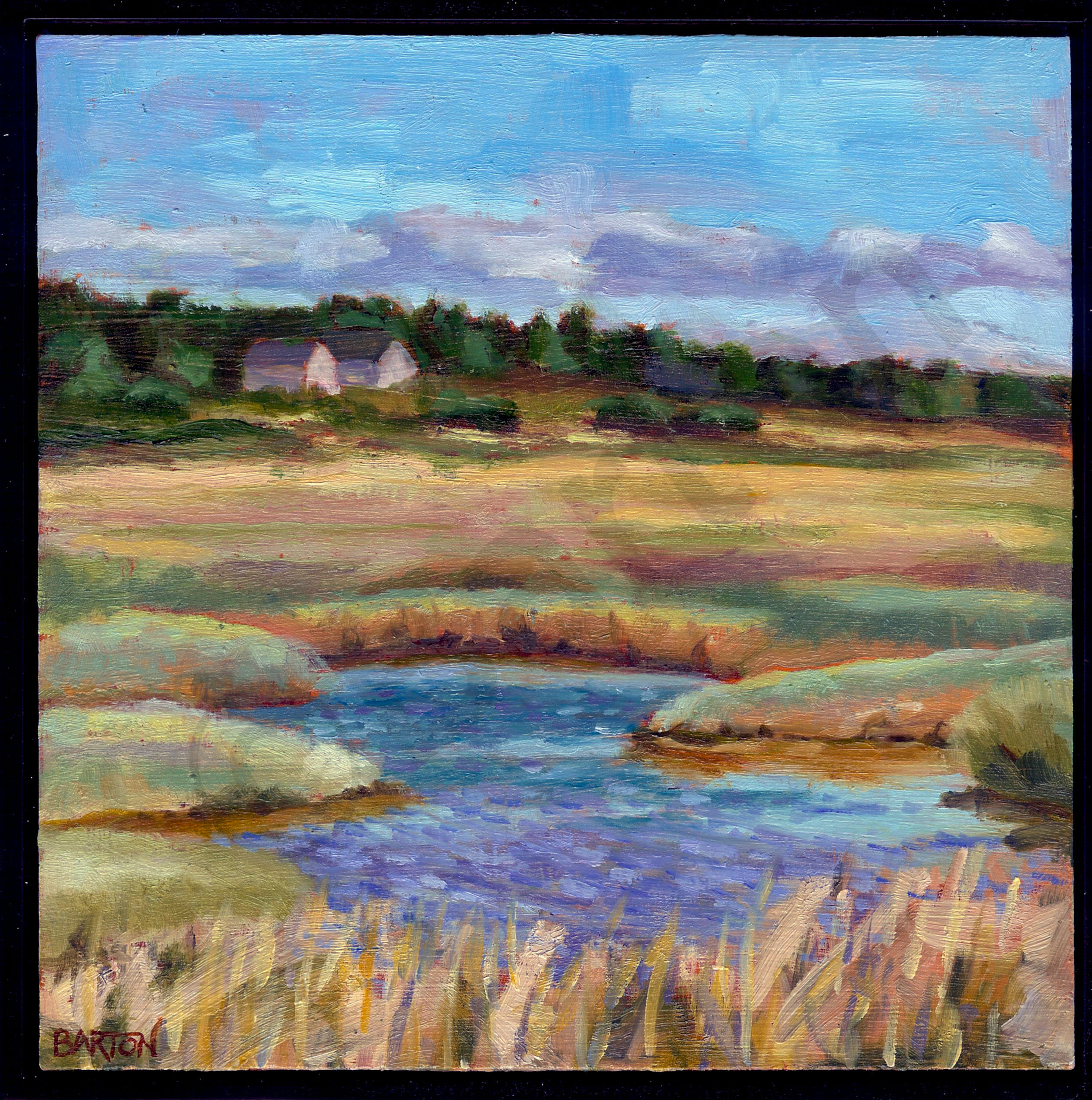 Maine marsh.frame.wm hfqxln