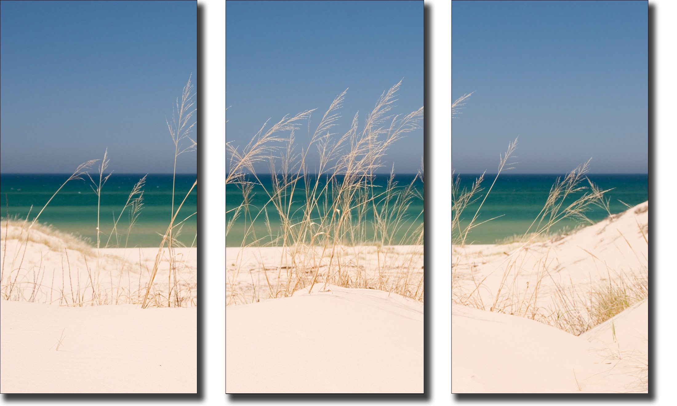Dune grass and lake michigan tryptich olzdq8